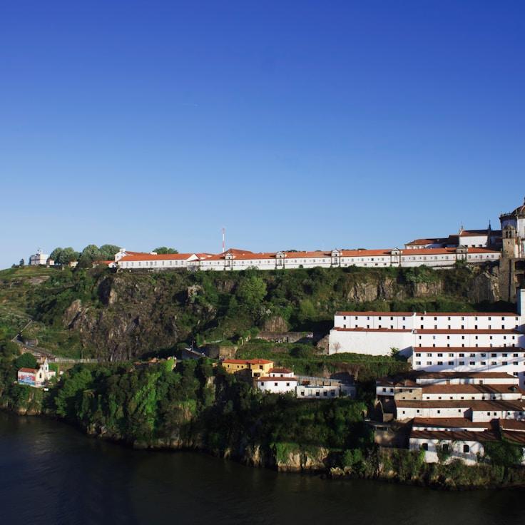 Family terraces and cafés for calm evenings in Springfield